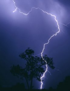 A lone tree is silhouetted by a cloud-to-ground lightning strike northeast of Phoenix, Arizona during a summer monsoon thunderstorm around 1am.