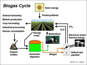 BiogasCycle-wp