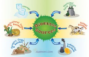 of-biomass-what