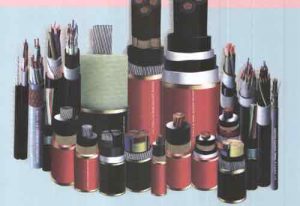 adverimg-42599